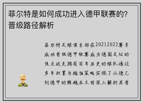 菲尔特是如何成功进入德甲联赛的？晋级路径解析